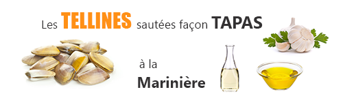 recette lefish gourmand de tellines sautees en tapas façon mariniere